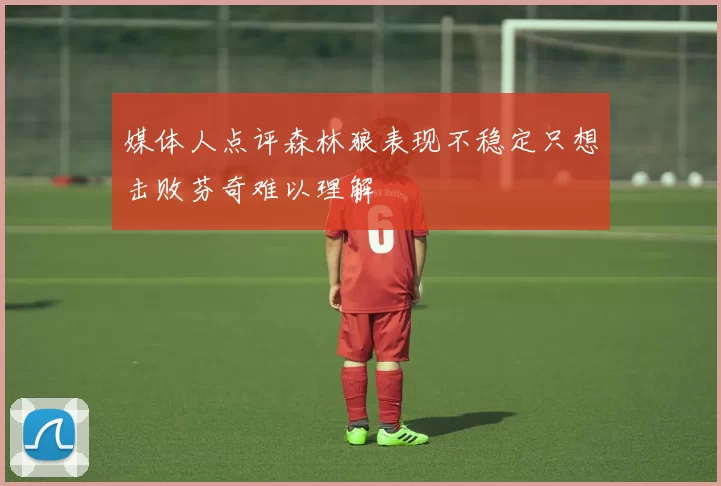 媒体人点评森林狼表现不稳定只想击败芬奇难以理解